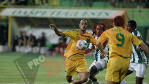 Brigadă din Franța la meciul  Vaslui - AEK Atena!