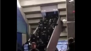 Bătaie generală după meciul României cu Grecia! Scene violente la stadionul Steaua | VIDEO