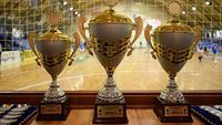 Nebunie în handbal din cauza întârzierilor de plată! Dacă s-ar fi aplicat regulamentul n-am mai fi avut clasament final în Liga Zimbrilor și Liga Florilor. SPECIAL