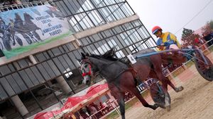 Se dărâmă Hipodromul. Ploieștiul va avea o nouă arenă modernă. Cât va costa și când ar putea avea din nou loc curse de cai