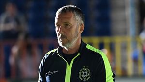 Arbitrul făcut praf de Mihai Stoica, delegat la CFR Cluj - FCSB