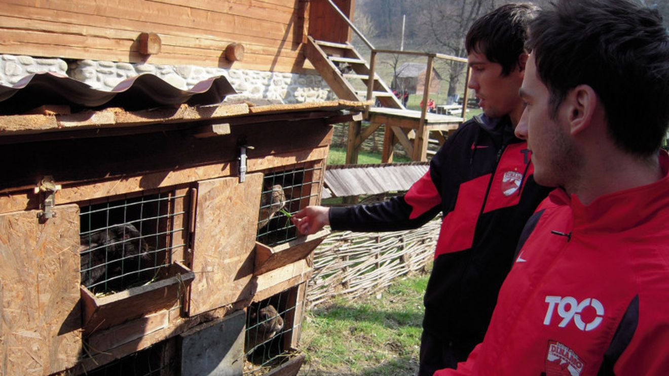 FOTO** Dinamoviștii la Ferma "Trei Stejari"! VEZI ce cadou a primit Andone și ce prieten și-a făcut Vlad Munteanu!