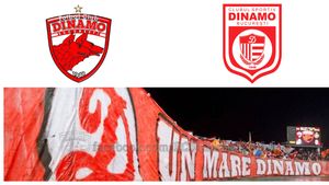 Noul antrenor al CS Dinamo, despre faptul că există trei echipe Dinamo București în fotbalul românesc: ”Avem antecedente cu FCSB / Steaua.” Pe cine consideră ”club mamă”