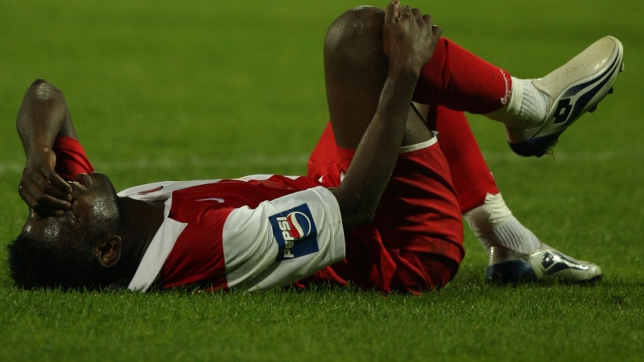 Gripă canină sau porcină?** "Câinii roșii" virusați!