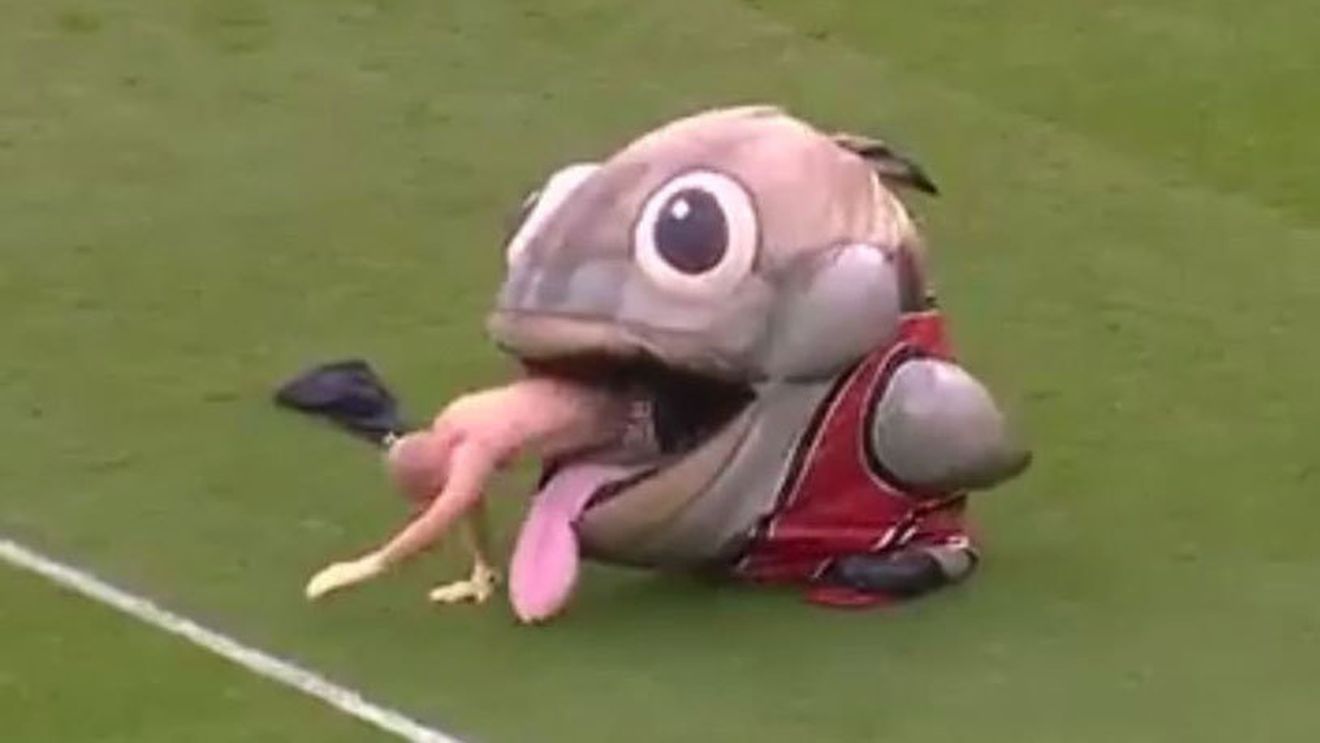 VIDEO | Faza zilei vine din Anglia! O mascotă l-a înghițit pe un bărbat care a lovit-o cu o minge. Tânărul a reușit să scape, dar a rămas fără haine :)