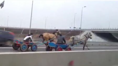 VIDEO Liniuță între căruțe! Autostrada Soarelui a fost transformată în hipodrom. Imagini uluitoare