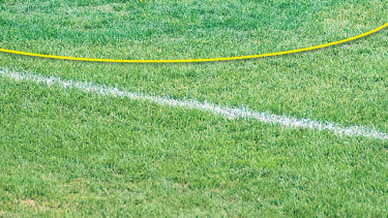 Gazonul de pe National Arena nu-i poate pune probleme lui Messi:** "Poate să joace oriunde, chiar și pe apă!"