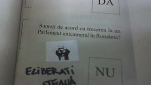 FOTO **Proteste anti-Becali pe buletinele de vot: "Eliberați Steaua!"