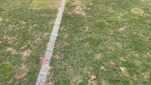 Dezastru în Bănie! FOTO | Cum arată gazonul de pe "Oblemenco". Pițurcă și-a ieșit din minți