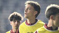 Daniel Pancu trebuie să îi decidă soarta fiului lui Dan Șucu la Rapid