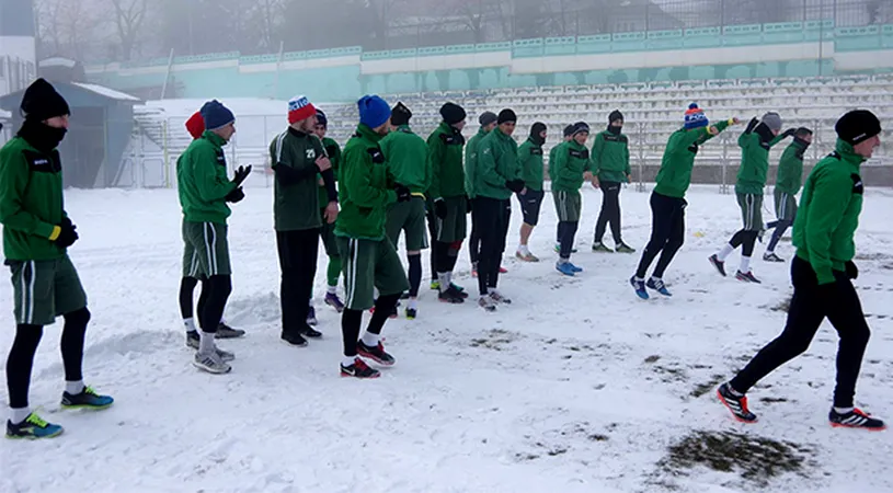 Foresta va beneficia de mai puțini bani în 2017 din partea autorităților locale.** Bugetul propus de primarul Ion Lungu