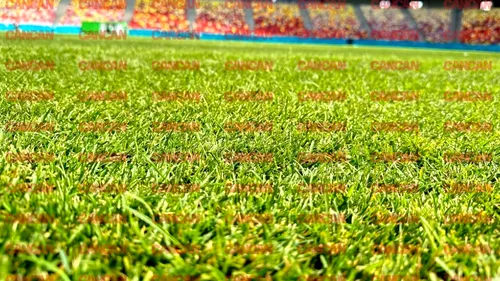 Arena Națională, în „haine noi”. Cum arată gazonul pe care va juca Manchester United în Europa League. FOTO