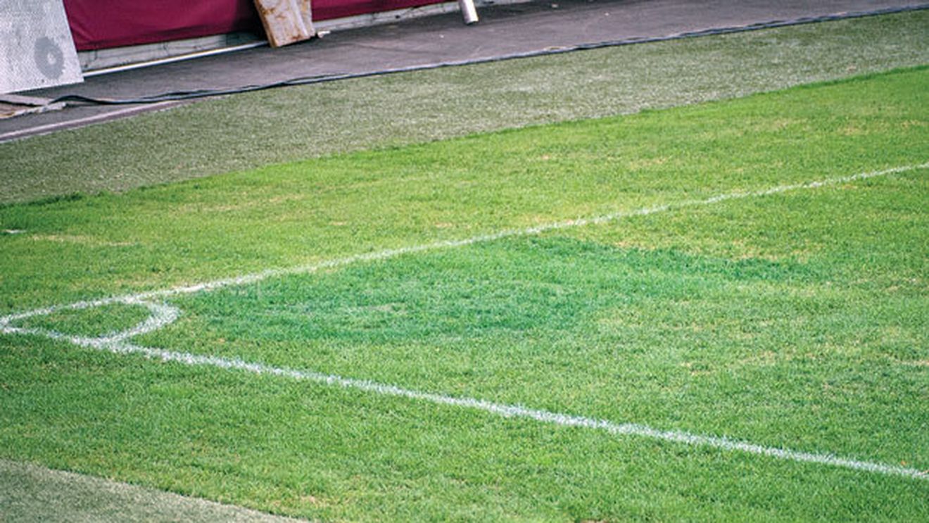 Am făcut-o și pe asta: porțiunile ARSE ale gazonului de pe Național Arena au fost acoperite cu vopsea pentru meciul cu Barca! "Vor fi șocați"