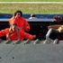 Momente de groază în FA Cup: suporterul a căzut peste tribună și era să strivească un cuplu! „Am fi putut muri”