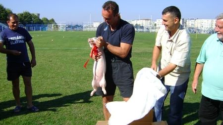 ALRO Slatina a eliminat Vasluiul din Cupă!** Primă de victorie, un purcel!