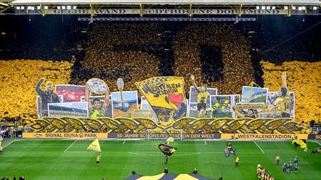 ADVERTORIAL. Cote pariuri pentru semifinalele Champions League: Bayern - Real Madrid și Dortmund - PSG