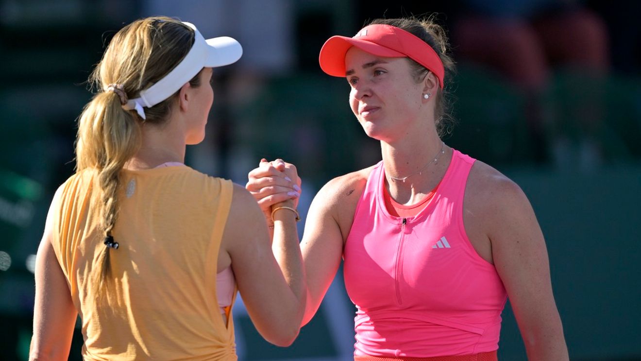 A bătut-o pe Sorana Cîrstea și acum vrea să facă un gest cu care a impresionat o lume întreagă. Adoptă un cățel pe care l-a găsit la Miami, rănit, după ce o mașină l-a lovit