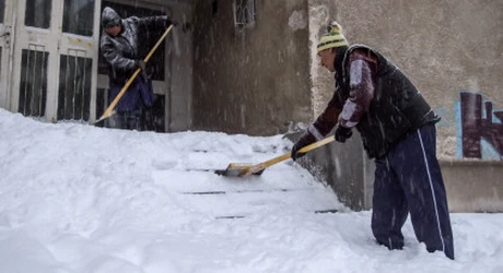 Amendă de până la 1.000 de lei pentru cei care au casă la curte. Toți proprietarii sunt OBLIGAȚI