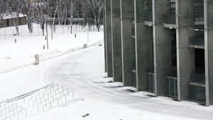 Problema suprafeței de joc de pe National Arena NU există:** "Pentru gazon e bine că a nins"