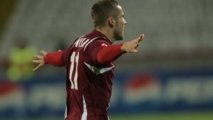 Sărbătoare vișinie