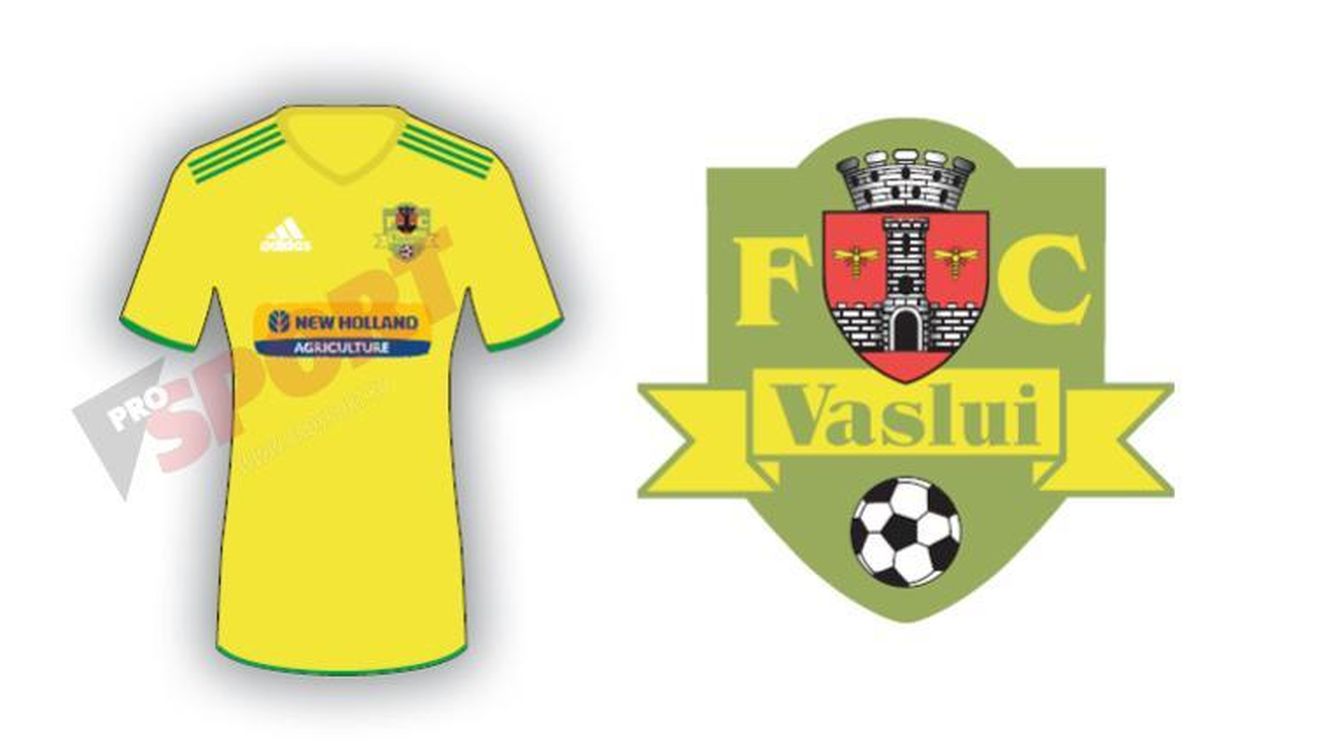 Sporting Club Vaslui 2013 - 2014: informații generale, lotul de jucători, transferuri și echipa tip