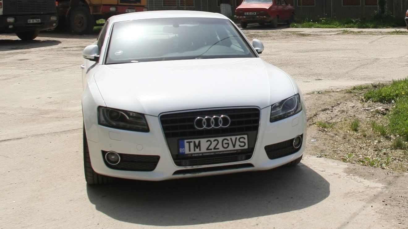 Bolizii în garaj