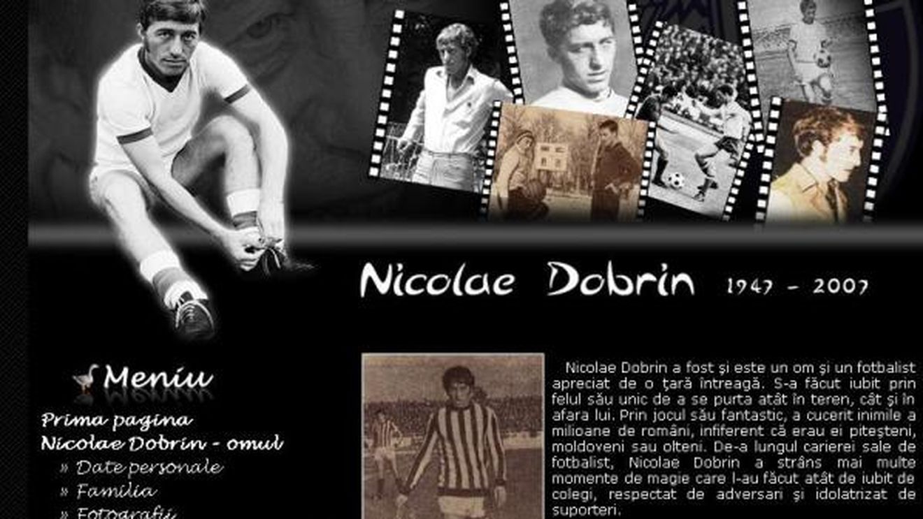 Site pentru Dobrin