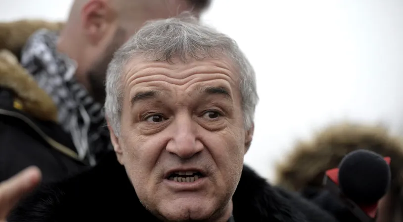 Gigi Becali, investiție de zeci de milioane de euro pe final de 2023! În ce a băgat suma fabuloasă patronul FCSB: „Pentru o mie de oameni minimum