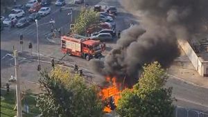Primele imagini cu incendiul uriaș din fața complexului rezidențial deținut de Cristi Borcea și familia lui!