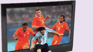 Fotbal 3D!** Cum pot fi văzute meciurile în 2010!