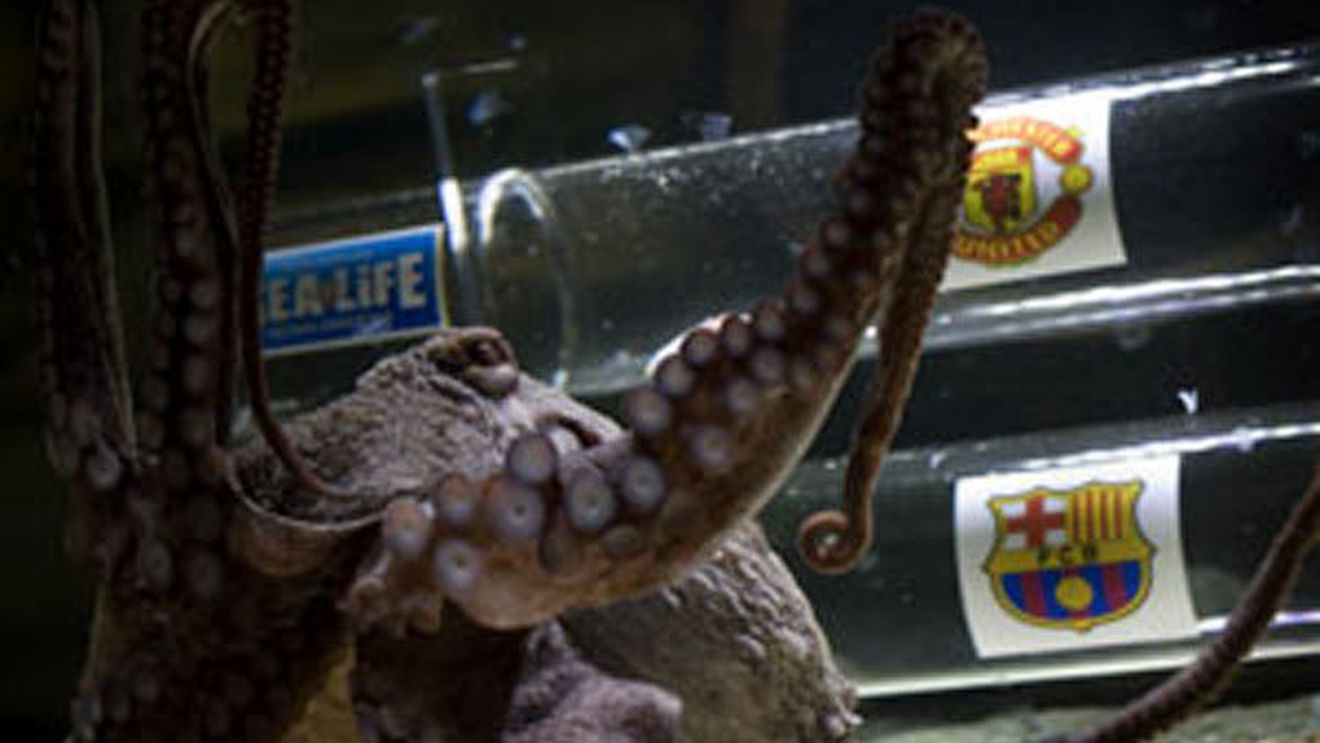 Predicția caracatiței Iker!** Vezi cine va câștiga finala Ligii Campionilor