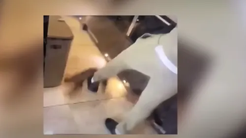 Kurt Zouma și-a cerut scuze public pentru comportamentul său șocant, după apariția unui clip video în care acesta își agresează fizic animalul de companie!