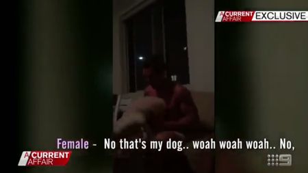 VIDEO DEZGUSTĂ‚TOR | Rugbist, inclinație spre zoofilie într-un film difuzat la televiziune