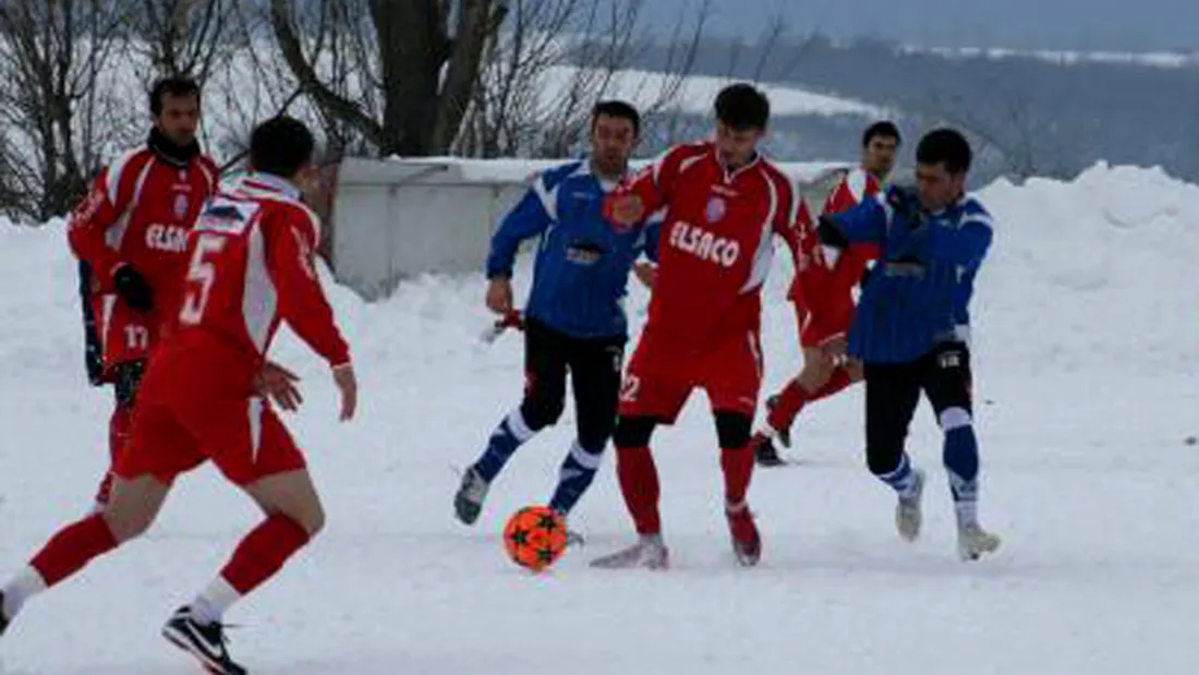 FC Botoșani joacă miercuri** un amical cu Rapid CFR