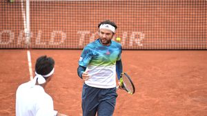 Mergea și Bolelli au pierdut finala de dublu de la Pau (Franța). Câți bani au câștigat cei doi