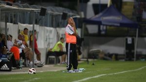 Țicleanu, dat afară prin sms