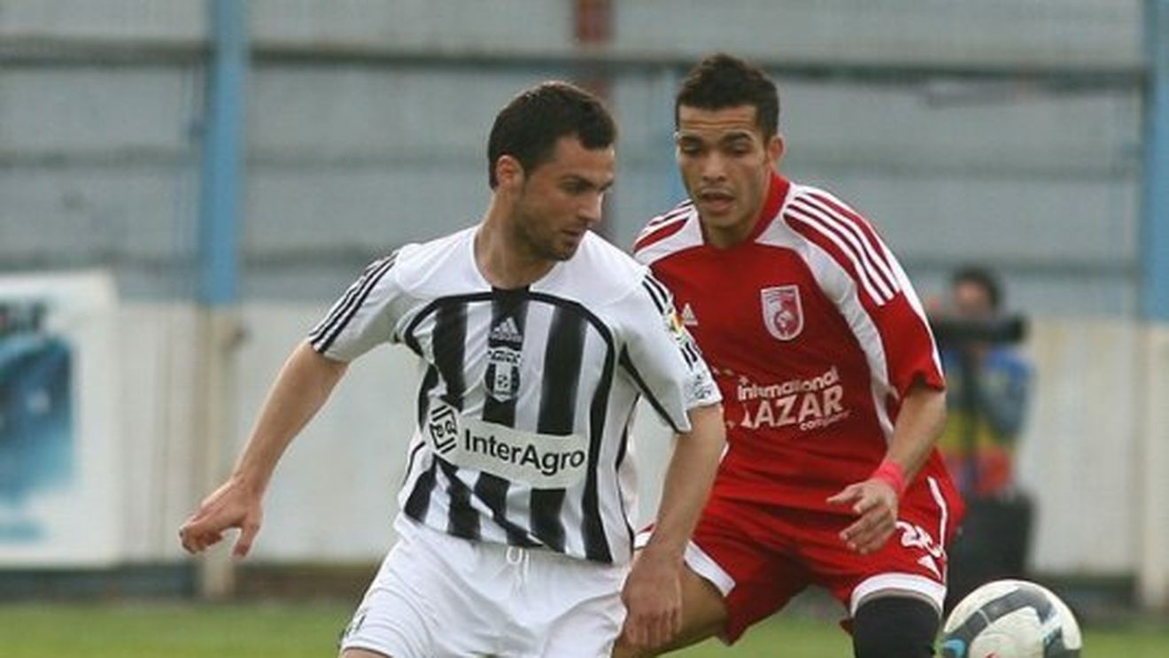 Vasile Gheorghe, "curățat" de Stoichiță