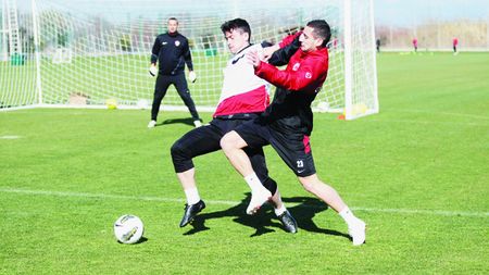 Luchin sau Grigore?** Dinamo are câte doi jucători pe fiecare poziție! Cum arată "enigmele" lui Ciobi