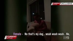 VIDEO DEZGUSTĂ‚TOR | Rugbist, inclinație spre zoofilie într-un film difuzat la televiziune