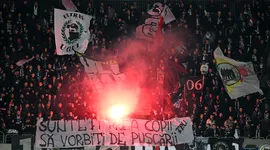 Poza 3