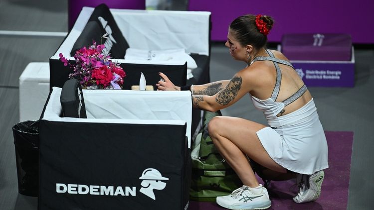 TENIS Ce a pățit o unguroaică la Cluj. A vrut să-i dea o lecție