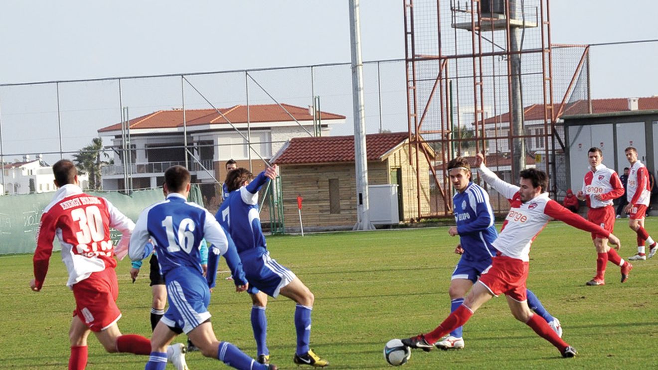 "Câinii" l-au enervat pe Borcea! **