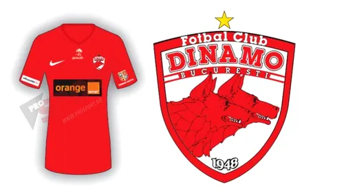 FC Dinamo 1948 București 2013 - 2014: informații generale, lotul de jucători, transferuri și echipa tip
