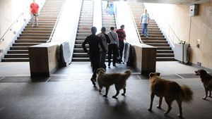 Finala EL ne pune față-n față cu realitatea!** Spaniolii spun că Bucureștiul e un oraș frumos, dar e păcat că e locuit: "Fanii vor da peste maidanezi, gropi, copii de rromi"