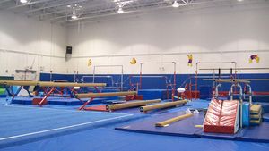 Dramă în gimnastică! Un sportiv croat a decedat la 22 de ani!