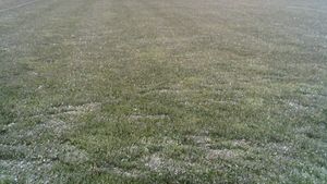 Și pentru asta să-i batem azi:** "Oraș urât și întunecat, unde vom juca pe un patinoar!" Vezi ce jucător al lui Liverpool ne ironizează!