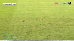 Ce e asta? FOTO | Gazonul de pe Arena Națională arată groaznic! Spaniolii au rămas fără reacție