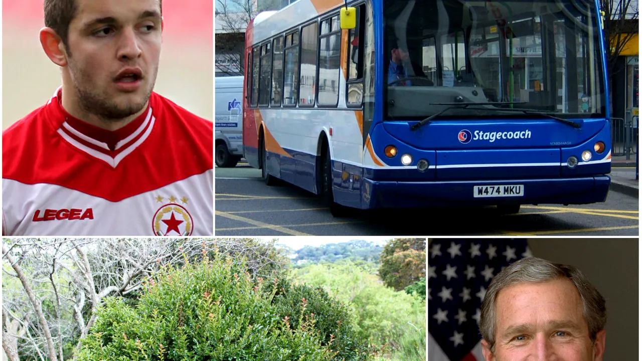 Autobuz sau tufiș? După Marica sau Raț, numele încă unui fotbalist român este prilej de glume pentru fanii englezi: 