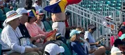 CORESPONDENȚĂ DE LA MIAMI OPEN | Ce face Cîrstea înaintea unui meci, de unde a venit o româncă pentru a o vedea pe „Sori” jucând și cum a încurajat-o vedeta trupei Voltaj pe Sorana! FOTO&VIDEO EXCLUSIV
