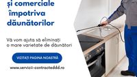 (P) Dezinsecția ploșnițelor cu abur: soluția modernă pentru locuințe sigure